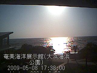 奄美海洋展示館ライブカメラ