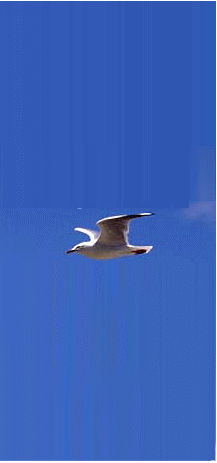 今里慕情・歌唱盤へ